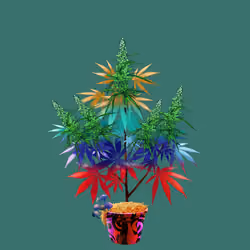 NFTokin #3185