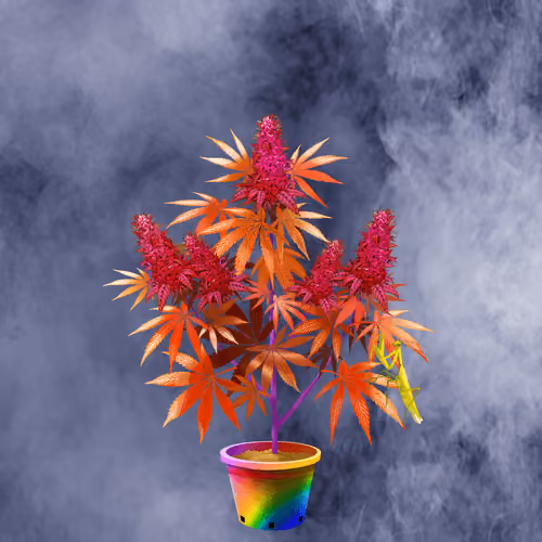 NFTokin #7983