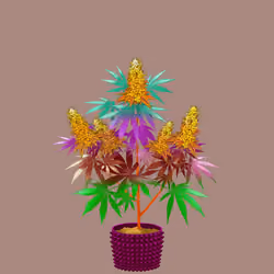 NFTokin #7037