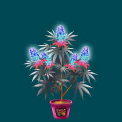 NFTokin #12641