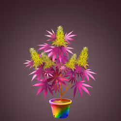 NFTokin #12625