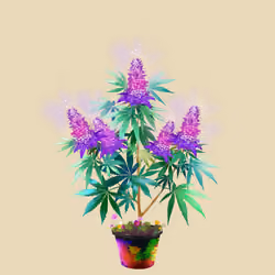 NFTokin #5552