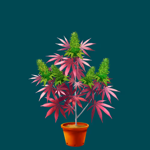 NFTokin #8251