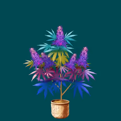 NFTokin #11492