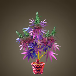 NFTokin #4353