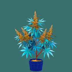 NFTokin #11764