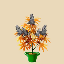 NFTokin #5594