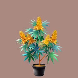 NFTokin #12961