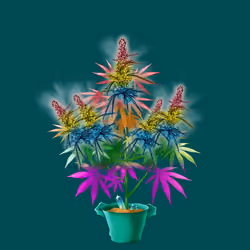 NFTokin #12069