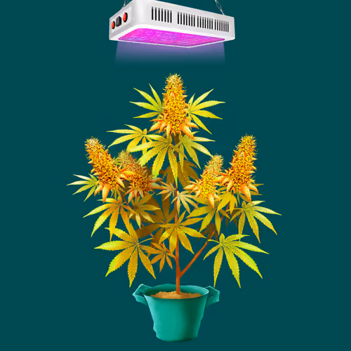 NFTokin #2690