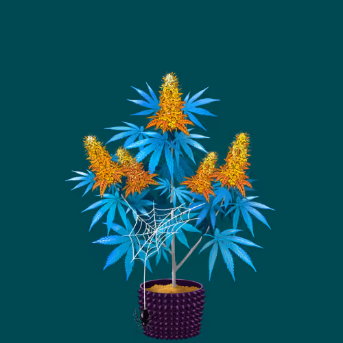 NFTokin #7386