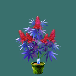 NFTokin #9683