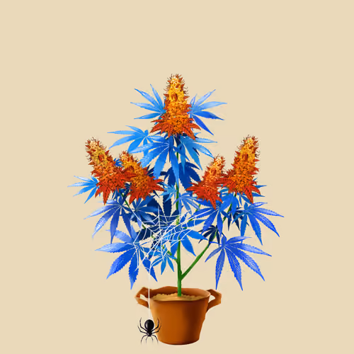 NFTokin #7876