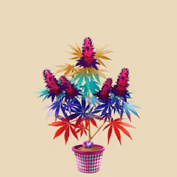 NFTokin #10421