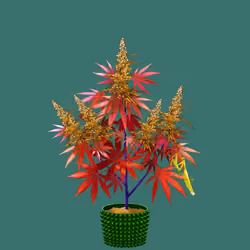 NFTokin #5593