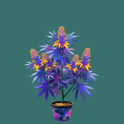 NFTokin #4397