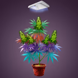 NFTokin #6386