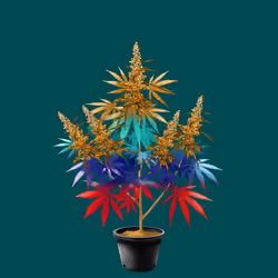 NFTokin #3153