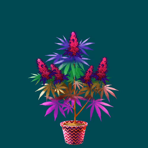 NFTokin #8200