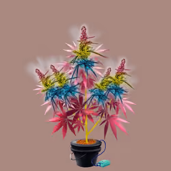 NFTokin #1790