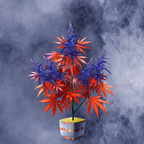 NFTokin #10323
