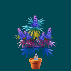 NFTokin #1177