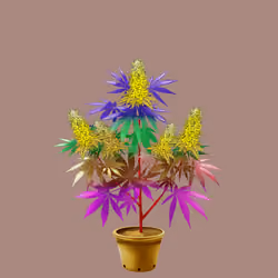 NFTokin #11326