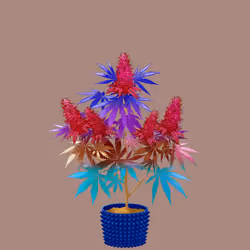 NFTokin #10829