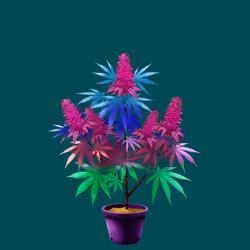 NFTokin #2166