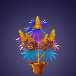 NFTokin #9658