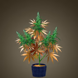 NFTokin #10267