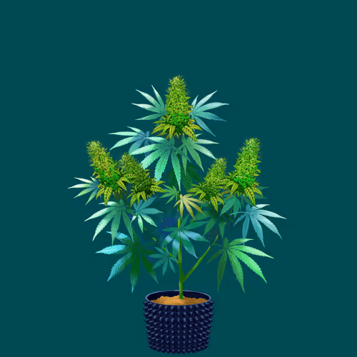 NFTokin #11678