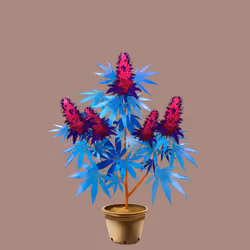 NFTokin #4293