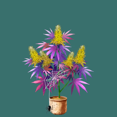 NFTokin #3193