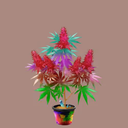 NFTokin #8687