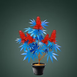 NFTokin #5732