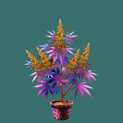 NFTokin #6835