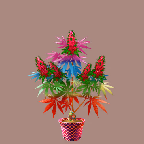 NFTokin #7897