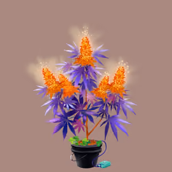 NFTokin #7761