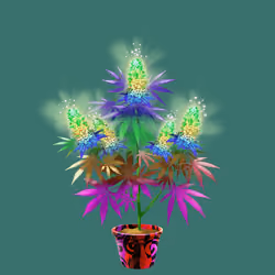 NFTokin #2628