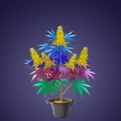 NFTokin #2086