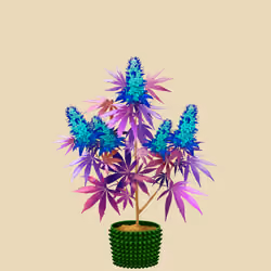 NFTokin #11681