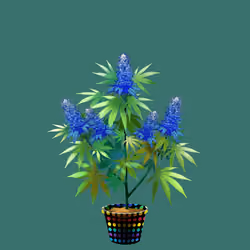 NFTokin #9187