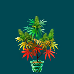NFTokin #9051