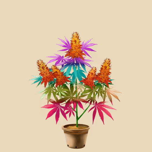 NFTokin #12480