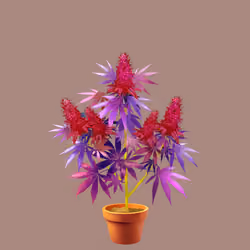 NFTokin #2622