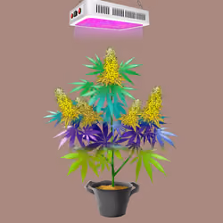 NFTokin #7859