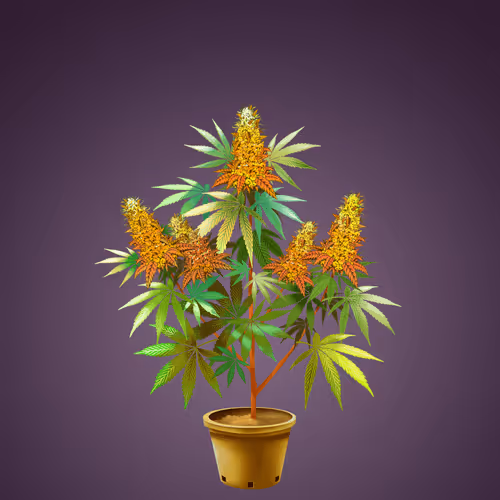 NFTokin #6213