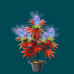 NFTokin #8953