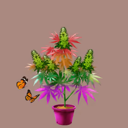 NFTokin #11392